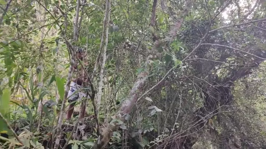 Transando com uma mulher casada e peituda perto do rio para não ser pego pelo marido dela